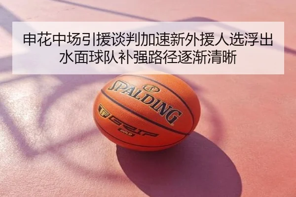 申花中场引援谈判加速新外援人选浮出水面球队补强路径逐渐清晰